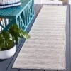 Hampton HTN231 Power Loomed Indoor/Outdoor Area Rug - Safavieh