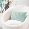 Lensa Pillow - Safavieh -Safavieh GUEST 40dde992 95dd 4522 acf8 c16da65324d5