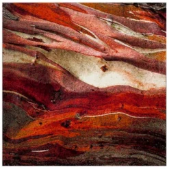 Calabasas Abstract Loomed Area Rug - Safavieh -Safavieh GUEST 51b69280 2dda 4fb6 b4f0 fe4b4c5cde9c