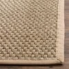 Ginger Rug - Safavieh -Safavieh GUEST 7a1b4c2f 6c9e 4aed a354 391d7574aa7b